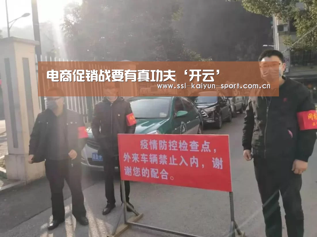 电商促销战要有真功夫‘开云’(图1) 开云团队