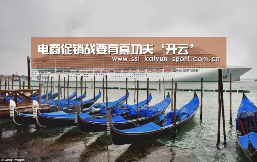 电商促销战要有真功夫‘开云’(图3) 开云集团